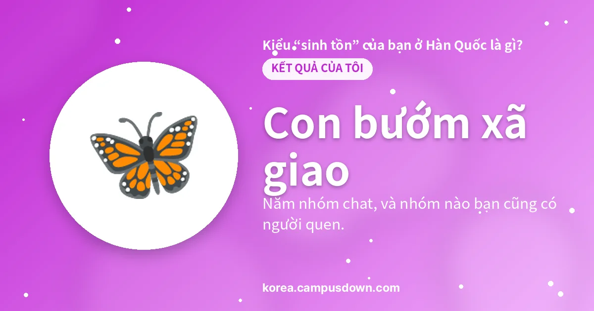 Con bướm xã giao — Năm nhóm chat, và nhóm nào bạn cũng có người quen.